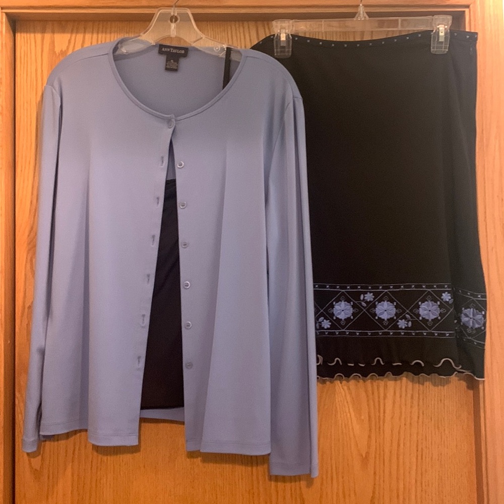 Ann Taylor skirt